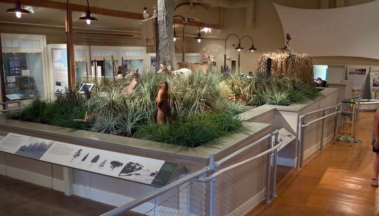 Outer Banks Center for Wildlife Education