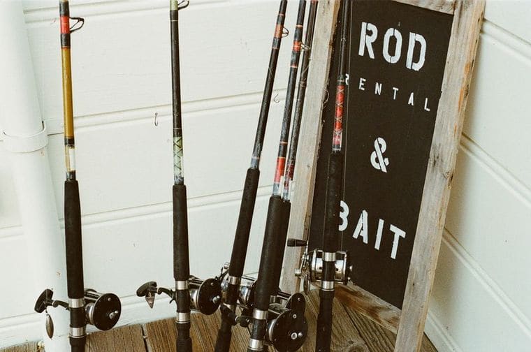 Corolla Bait and Tackle