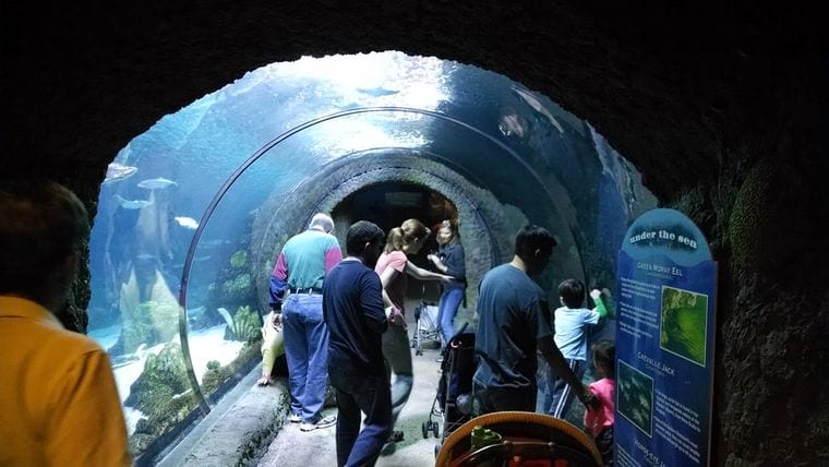 Downtown Aquarium