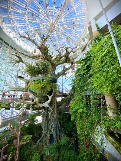 The Green Planet Dubai