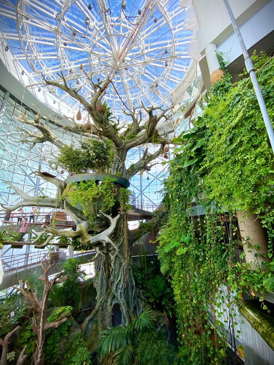 The Green Planet Dubai, United Arab Emirates