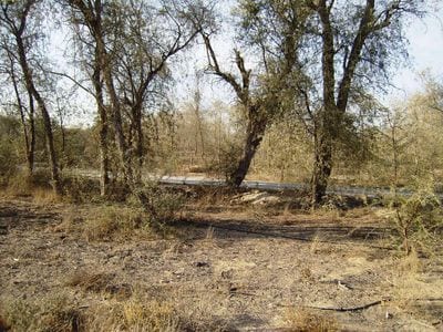 Mushrif National Park