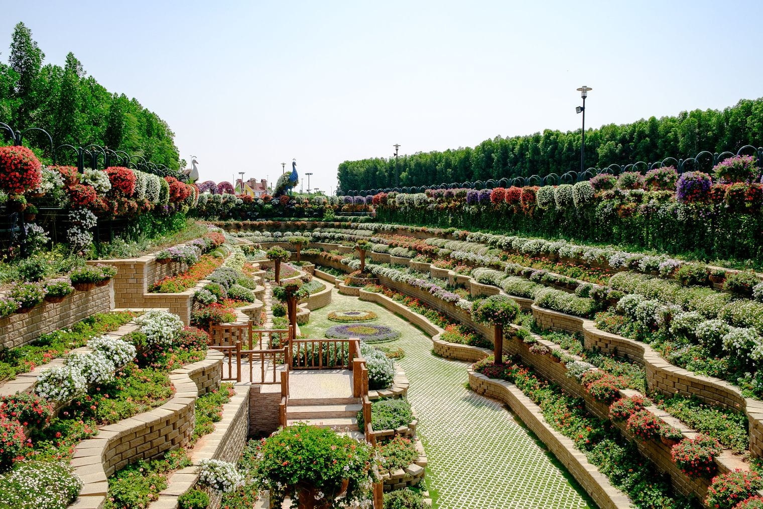 Dubai Miracle Garden, United Arab Emirates