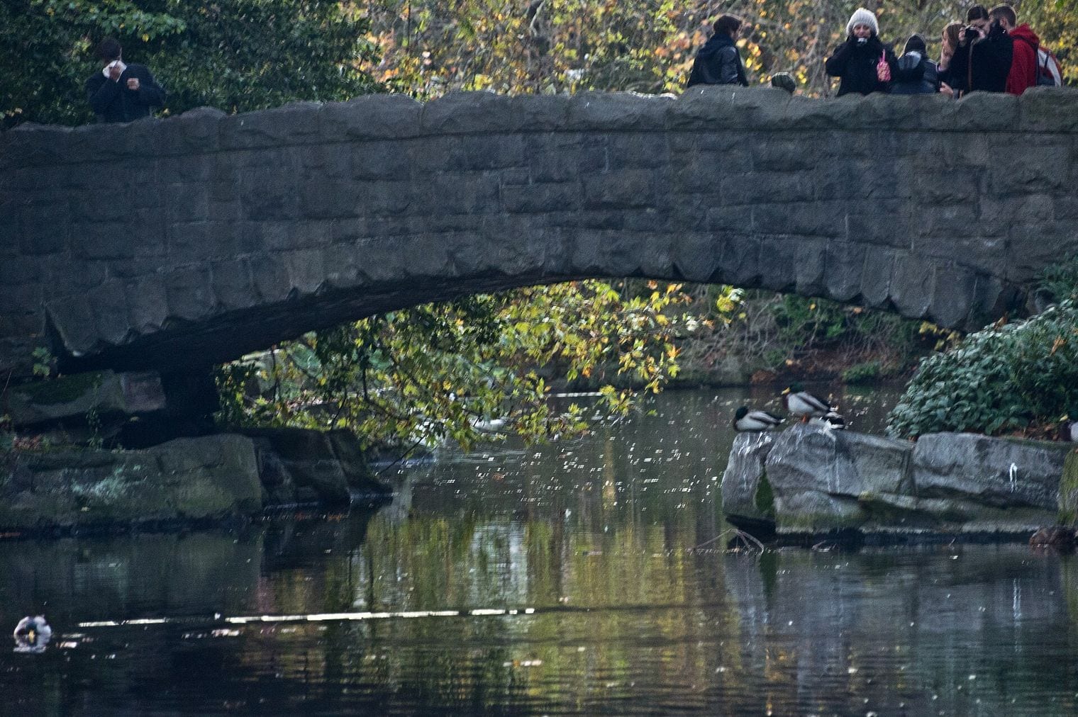 St Stephen's Green, Ireland