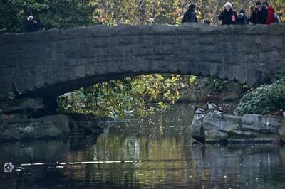 St Stephen's Green