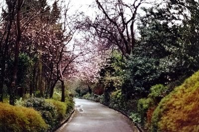 Merrion Square Park