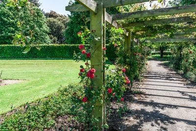 St Anne’s Park