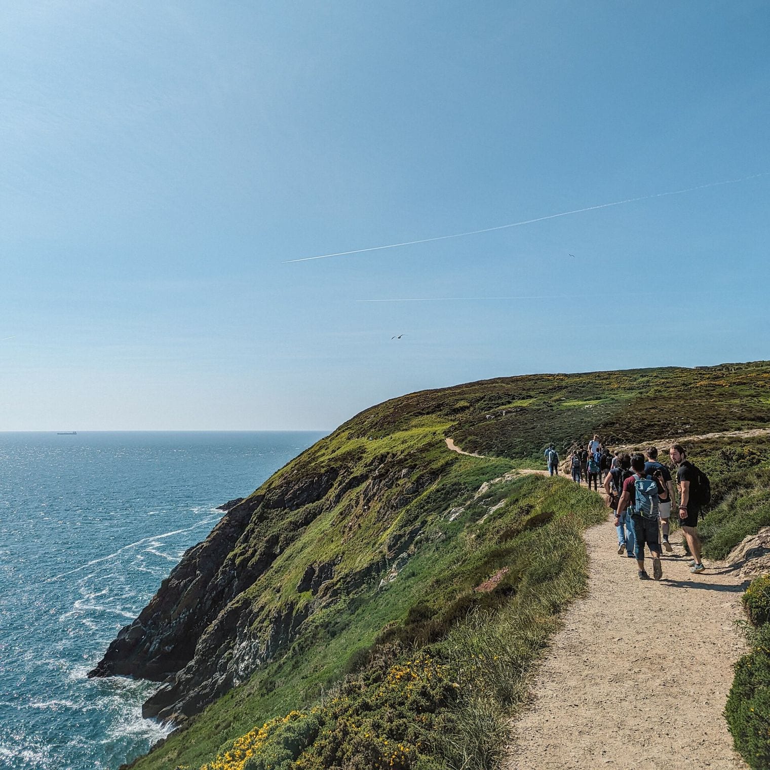 Howth Cliff Walk, Ireland