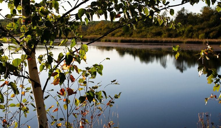 Hartley Nature Center