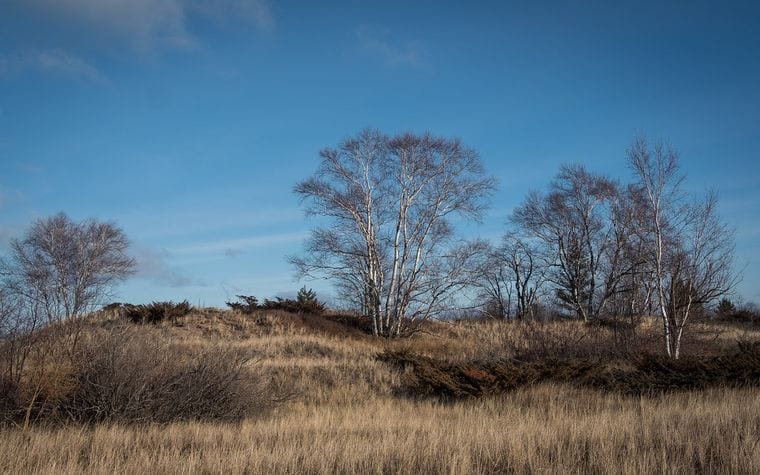 Minnesota’s North Shore Scenic Drive