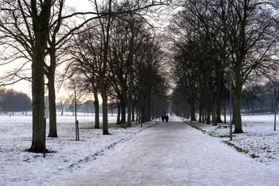 Inverleith Park