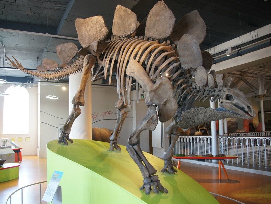National Museum of Scotland, Scotland