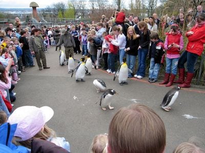 Edinburgh Zoo
