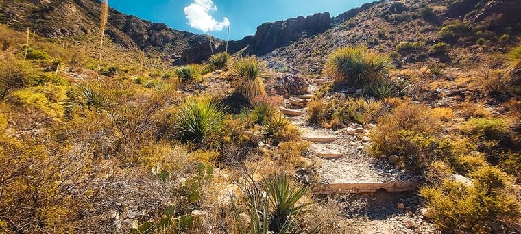 Franklin Mountains State Park