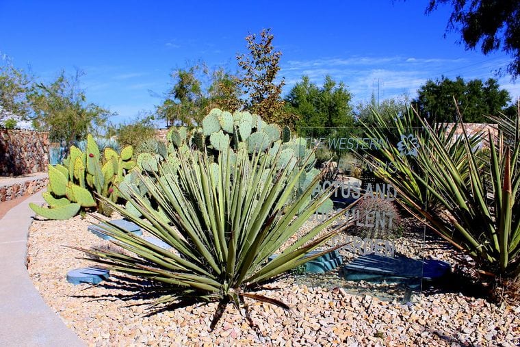 Keystone Heritage Park and the El Paso Desert Botanical Garden