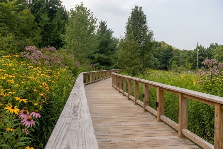 Asbury Woods