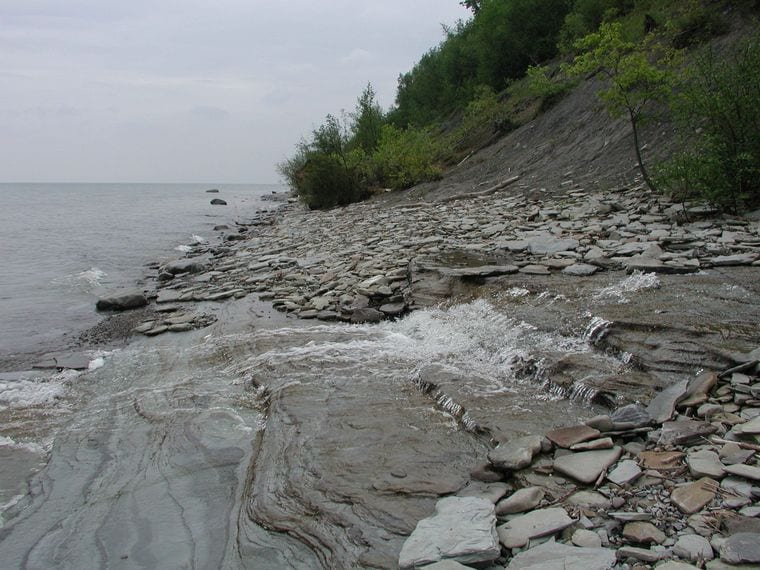 Erie Bluffs State Park