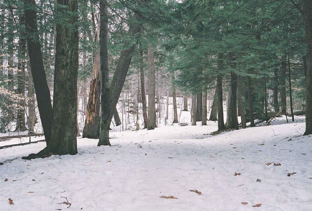 Wintergreen Gorge, Erie, Pennsylvania