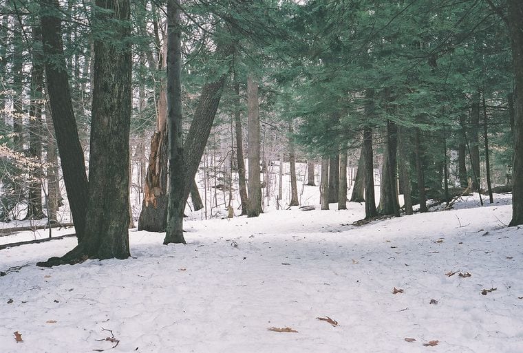 Wintergreen Gorge