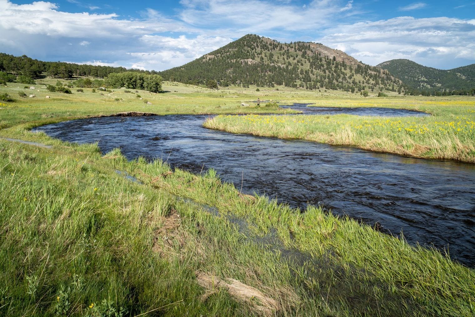 Fly Fishing the Big Thompson River, Estes Park, Colorado