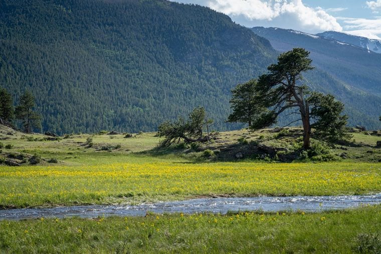 Scenic Drives Through Big Thompson Canyon