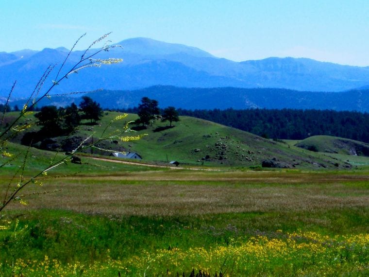 Horseback Riding in the Foothills