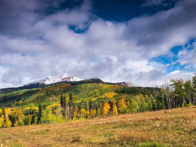 Elk Viewing in Autumn
