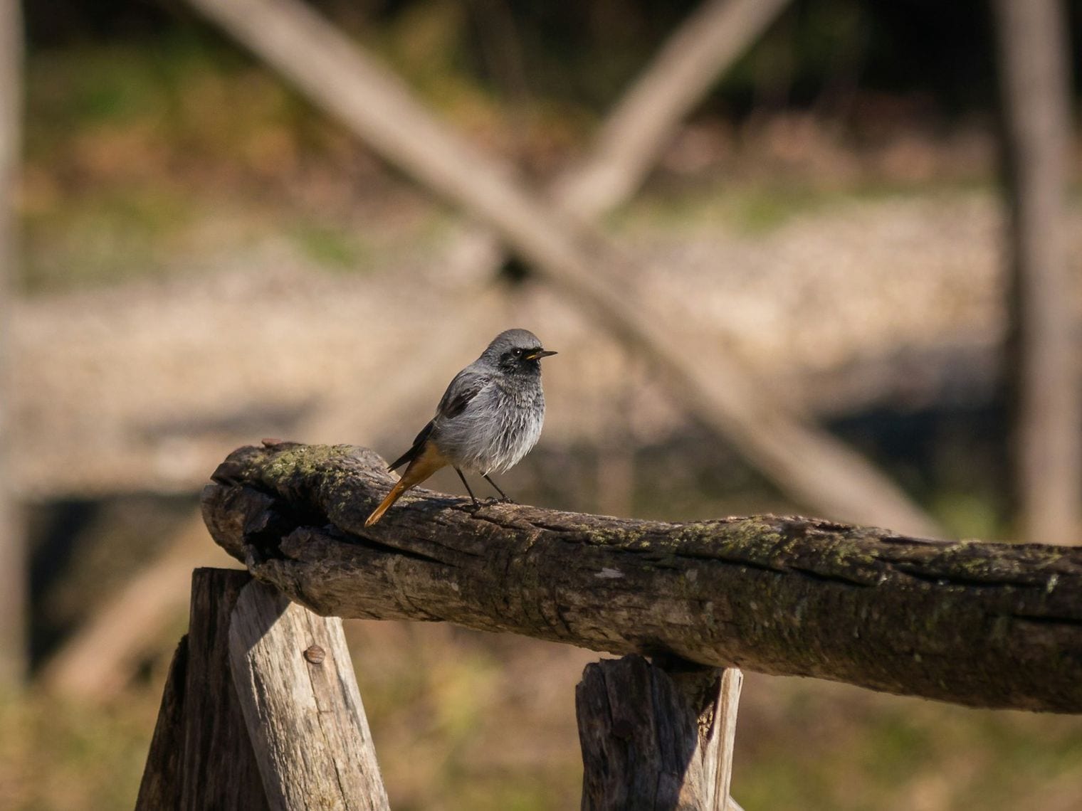 Blue Grass Fish Wildlife Area, Evansville, Indiana