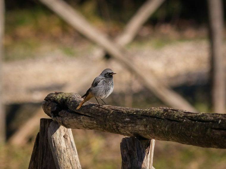 Blue Grass Fish & Wildlife Area