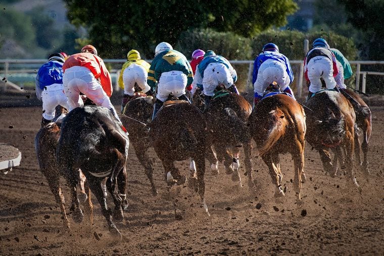 Ellis Park Racing & Gaming
