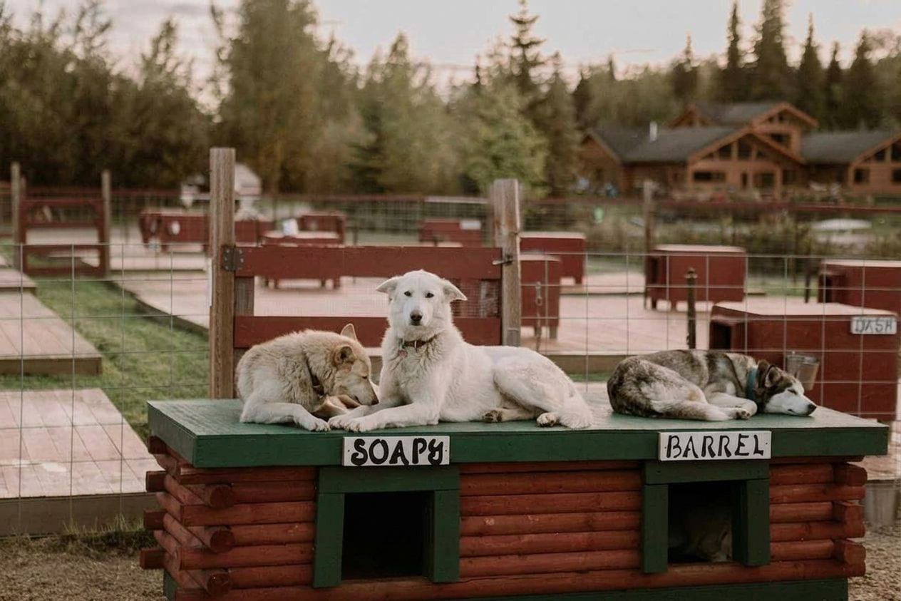 Trail Breaker Kennel, Alaska