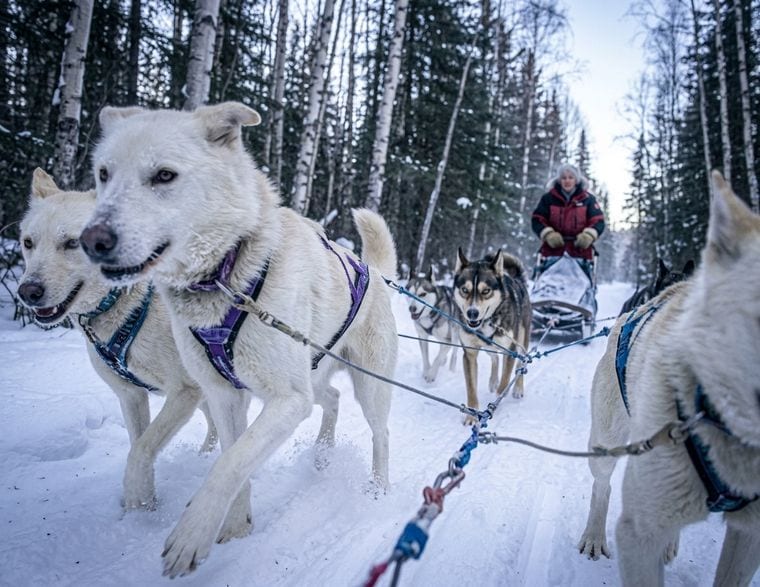 Chena Outdoor Collective