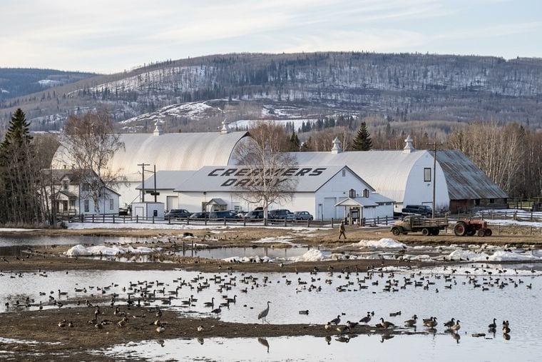 Creamer's Field Migratory Waterfowl Refuge