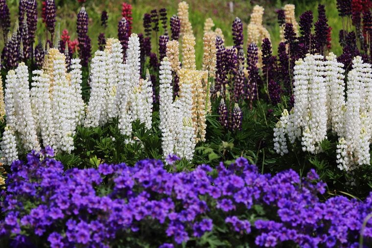 Georgeson Botanical Garden