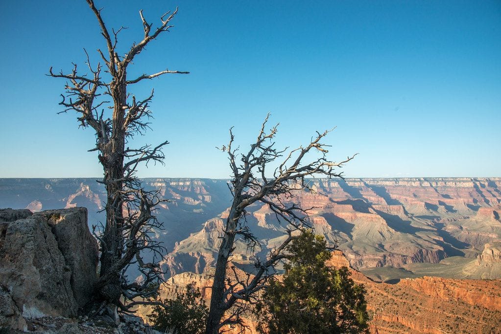 South Rim Trail, Flagstaff, Arizona