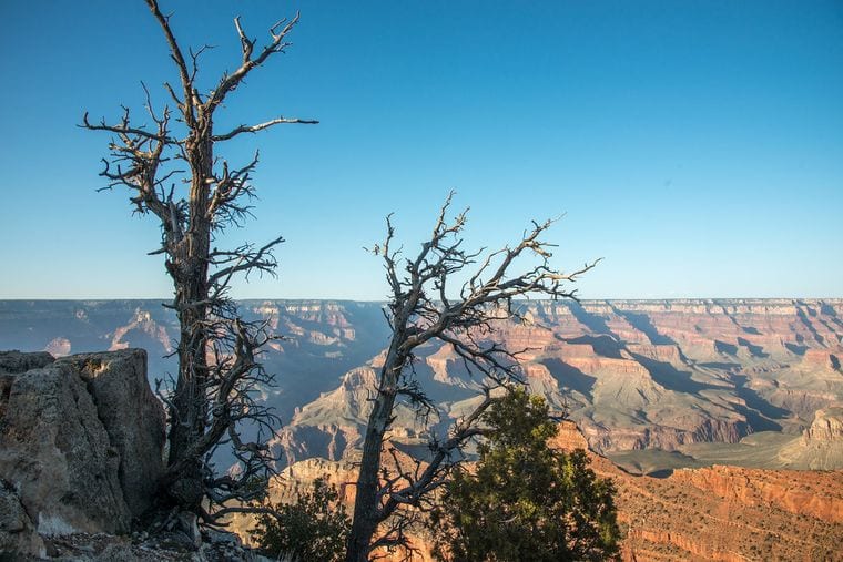 South Rim Trail