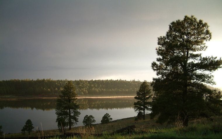 Coconino National Forest