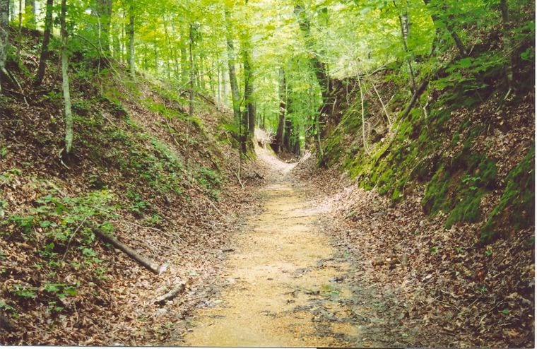 Timberland Park
