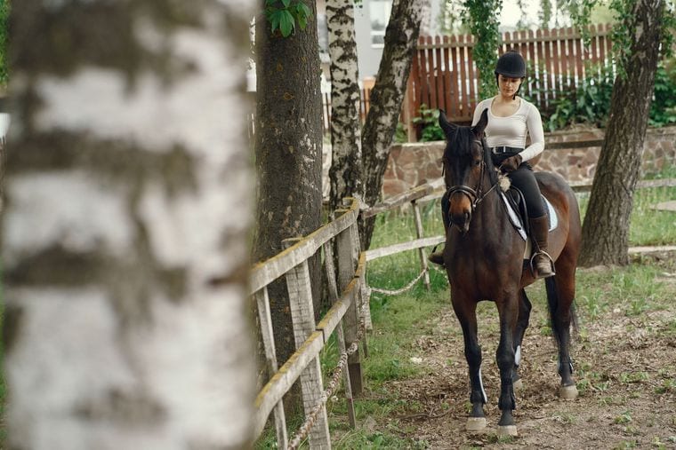 Creekside Riding Academy & Stables