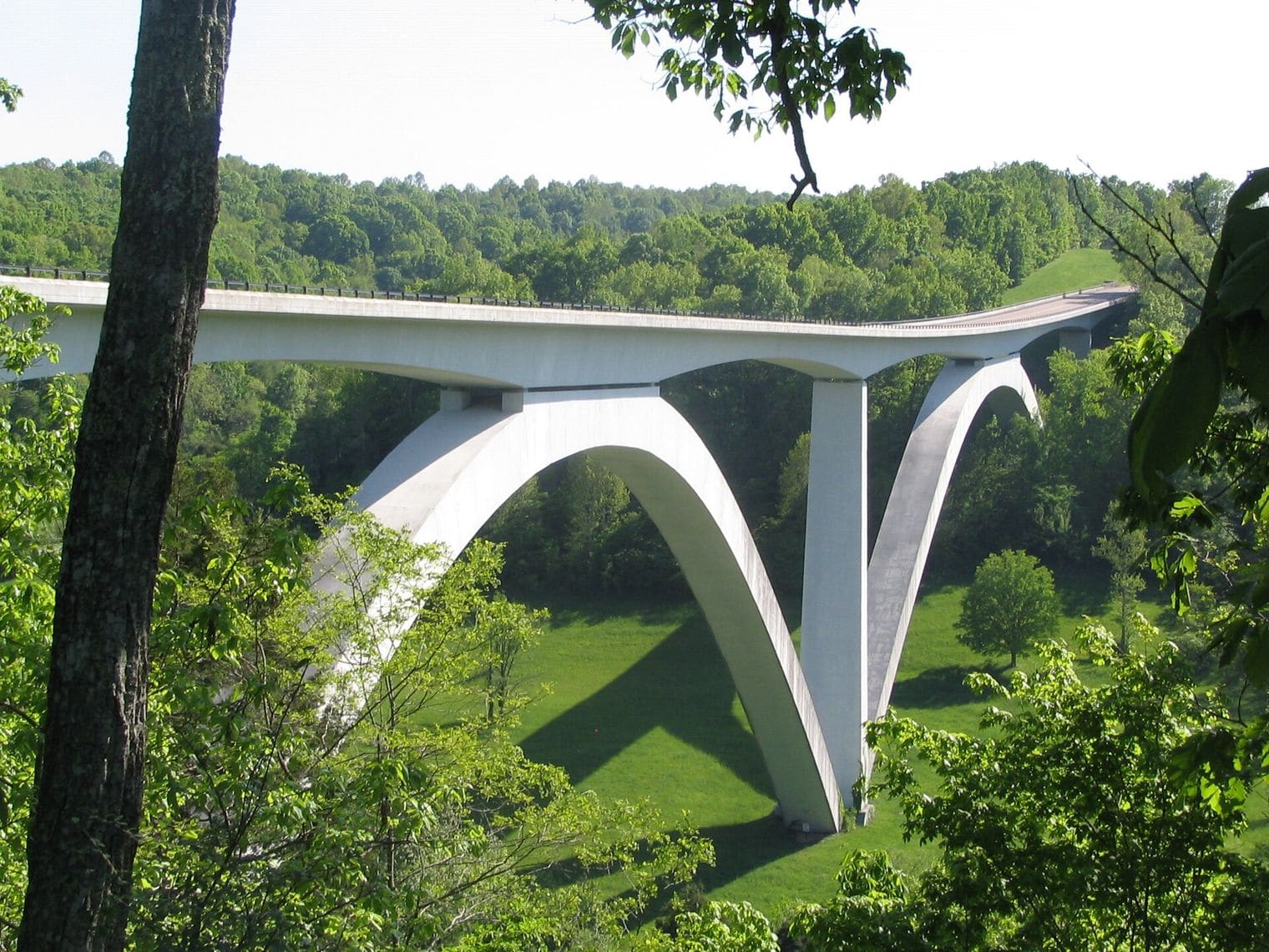 Natchez Trace Parkway Tennessee