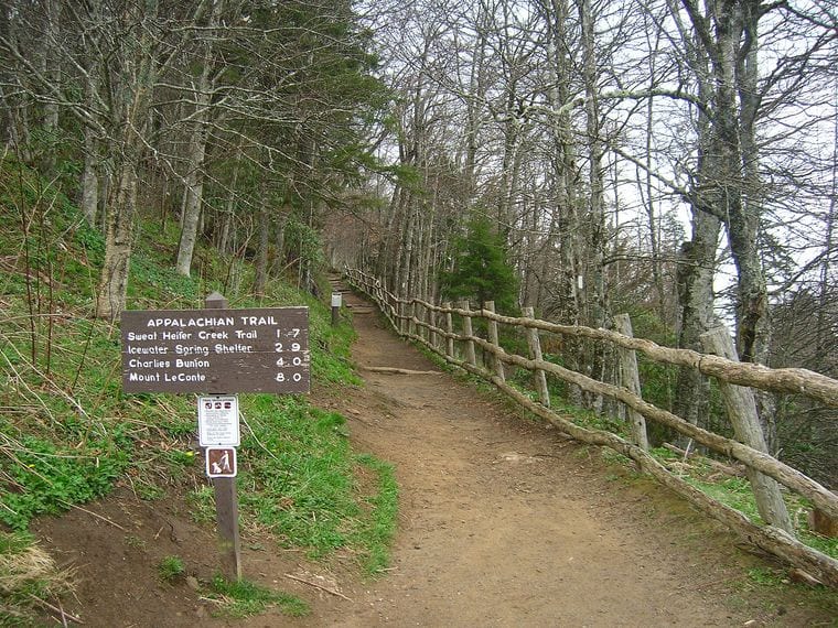 Newfound Gap and the Appalachian Trail