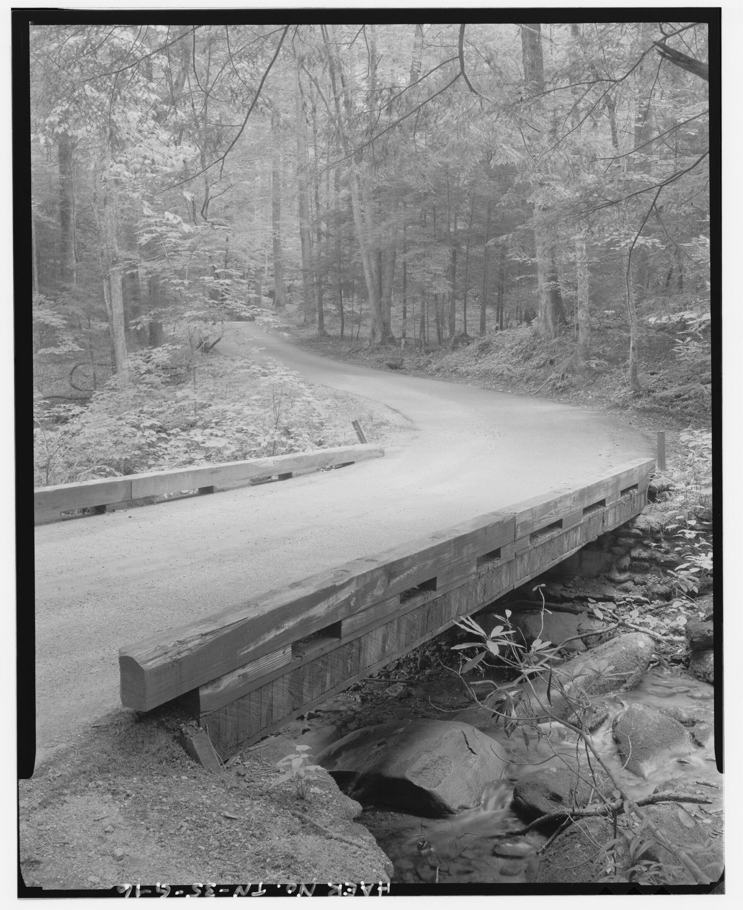 Gatlinburg Trail