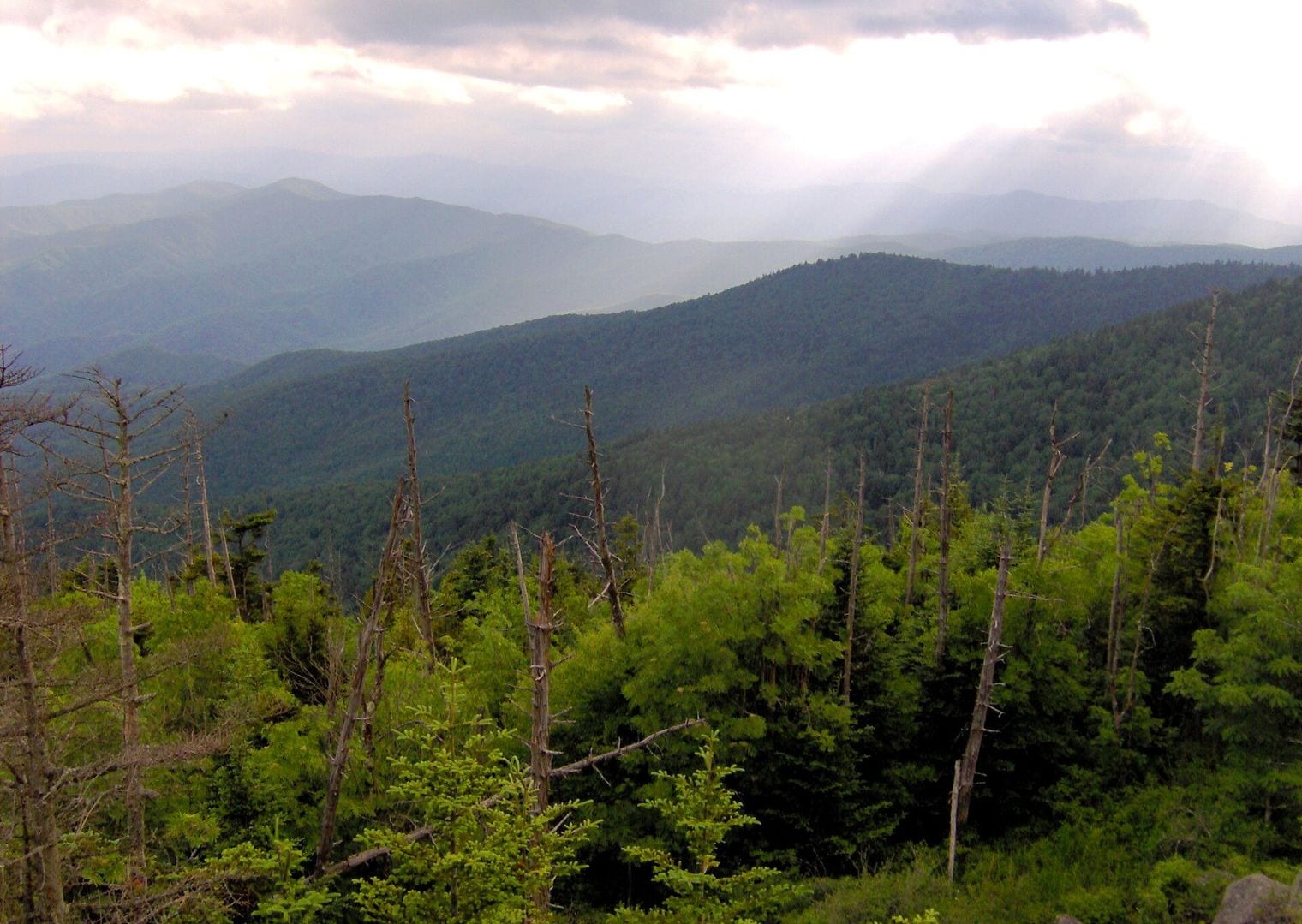 Kuwohi (Clingmans Dome), Gatlinburg, Tennessee