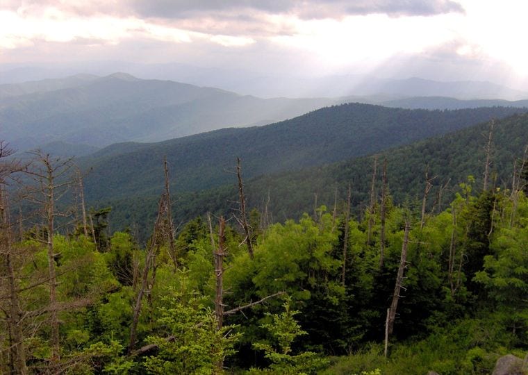 Kuwohi (Clingmans Dome)
