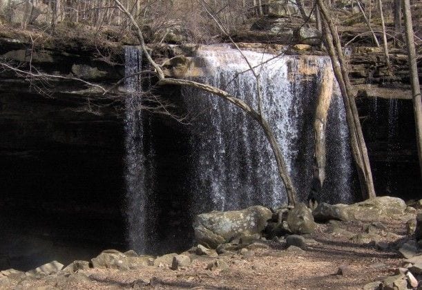Laurel Falls Trail
