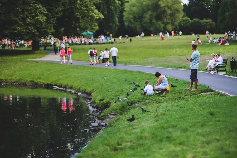 Fidler Pond Park