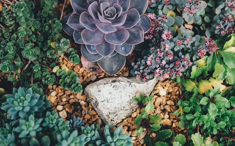 DeFries Calendar Gardens