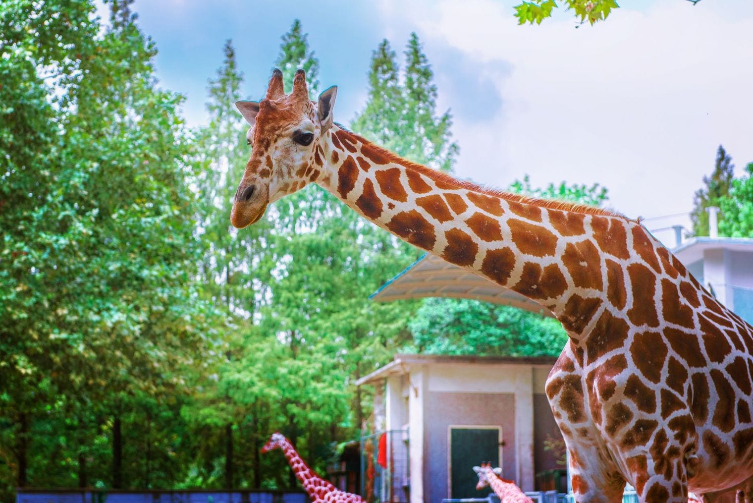 NEW Zoo & Adventure Park, Green Bay, Wisconsin