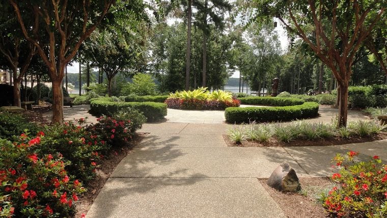 The Bog Garden at Benjamin Park