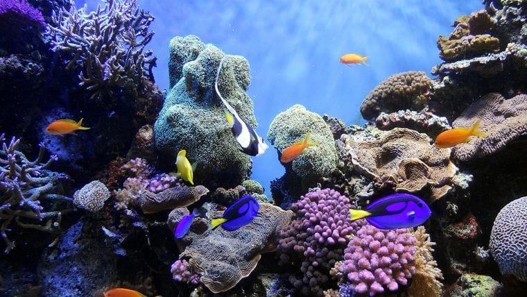 UnderWater World